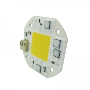 F5454 High Voltage AC100-140V 200-240V Input 50W Integrated COB Led Emitter Lamp Light White 5800-6500K