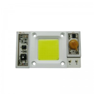 30W 50W Integrated Light Led Source AC90-150V AC170-300V 3000K 6000K 10000K 30000K 6500LM High Power Led Chip Emitter Lamp Lighting Light
