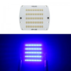 50Leds 150W Philips Led Lamp Light White 5000K Royal Blue 450-455NM