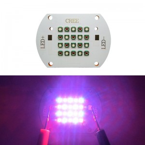 60W Cree Xlamp XP-E XPE Plant Grow Led Lamp Light 10PCS Red + 10PCS Blue 24-28V 2000mA