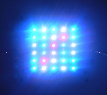 Coral Lamp Light 100W Cree XPE XP-E R3 Blue + Green +White Led Emitter Lamp Light 24-28V 3A